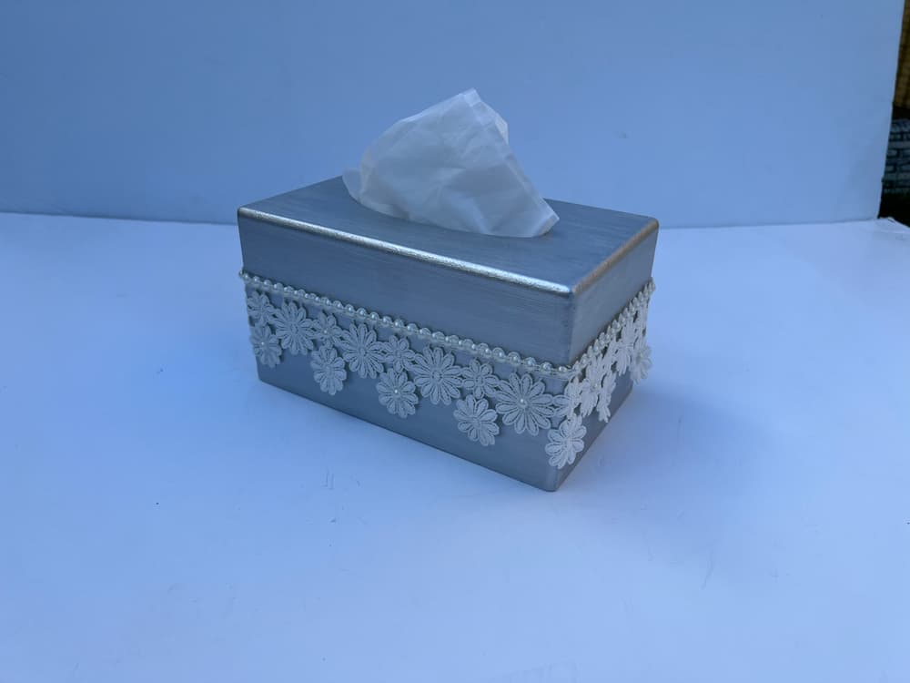 Silver tissue box1