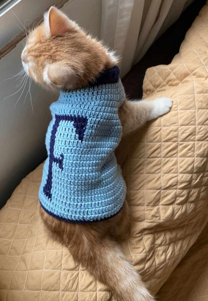cat pullover with name
