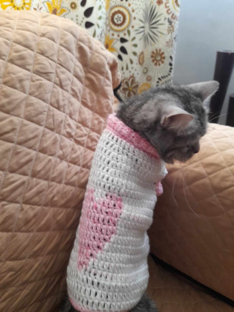 cat heart pullover