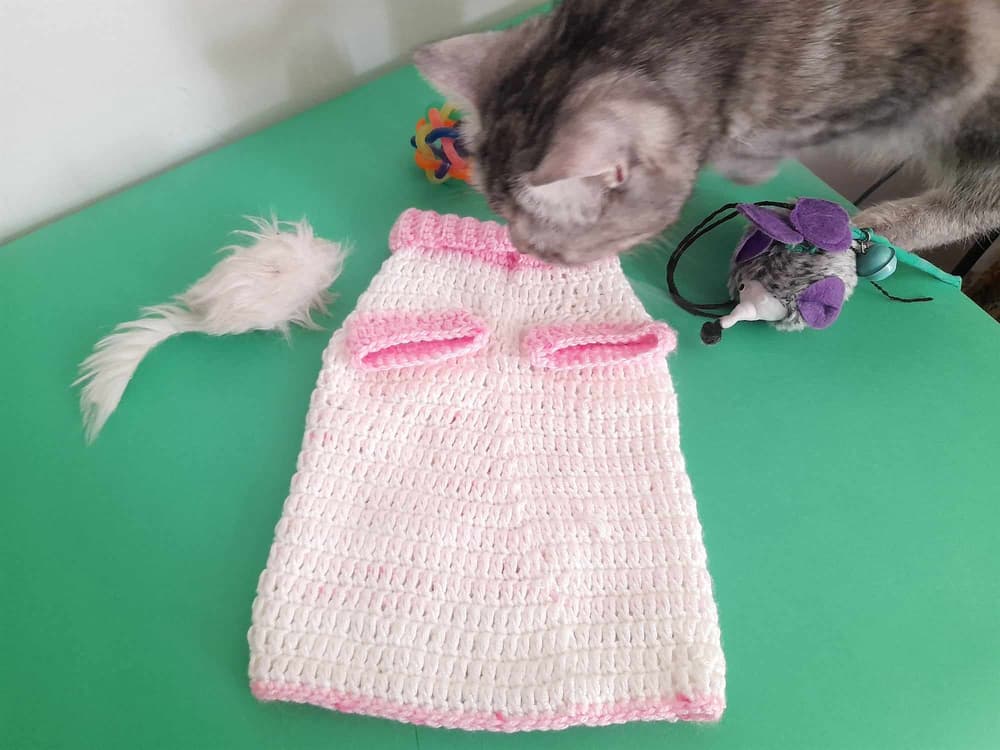 cat heart pullover
