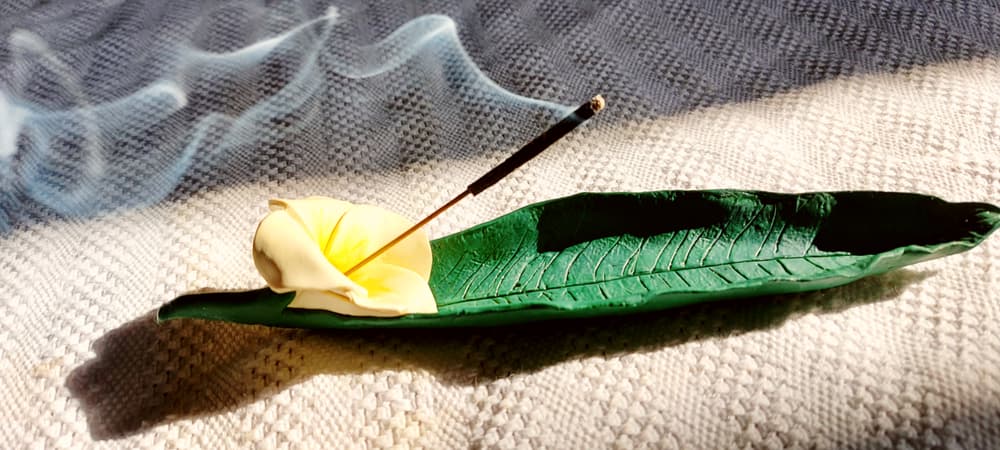 White And Yellow Frangipani Flowers with leav  incense stick holder 